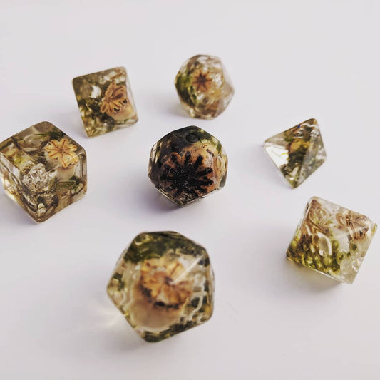 Handmade Resting Poppy resin dice set with embedded wild-harvested plants from the Herbalism Series by Cozy Gamer.
