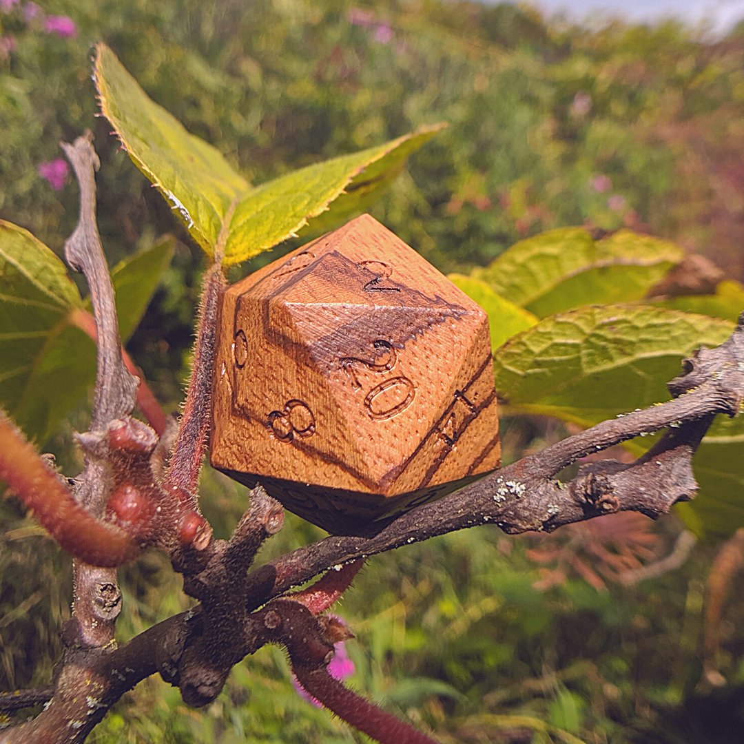 Hand-carved wood D20 dice perched on a tree branch in a natural setting.