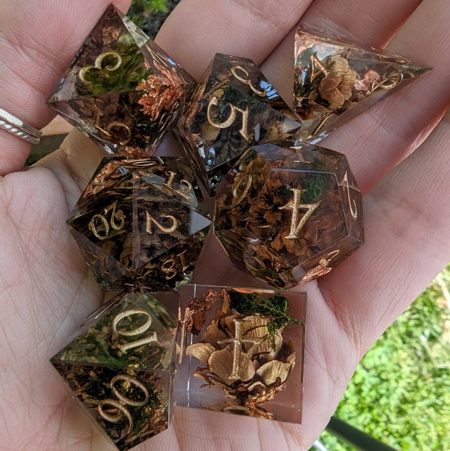 Pine Cones and Moss Dice Set