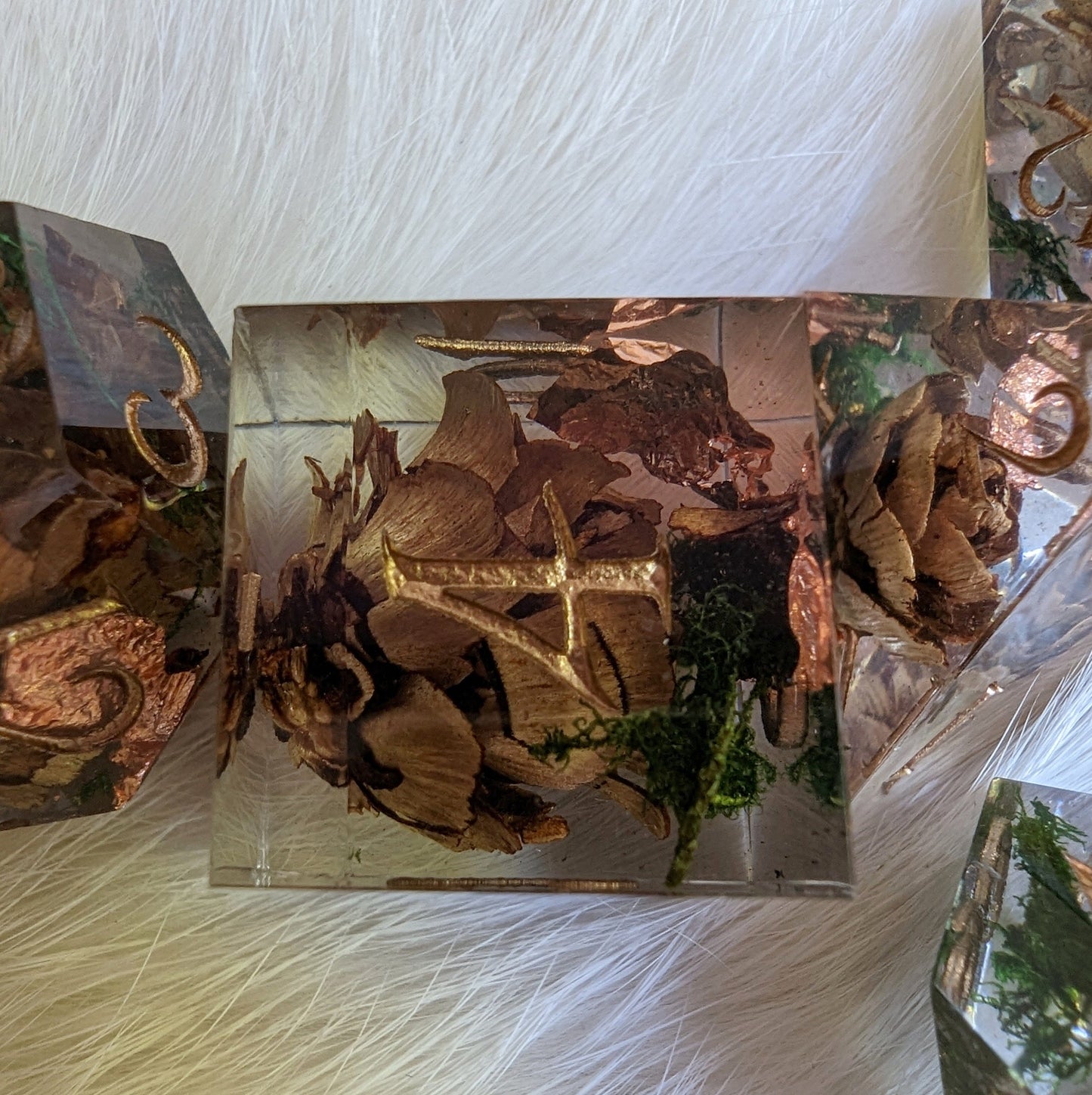 Pine Cones and Moss Dice Set