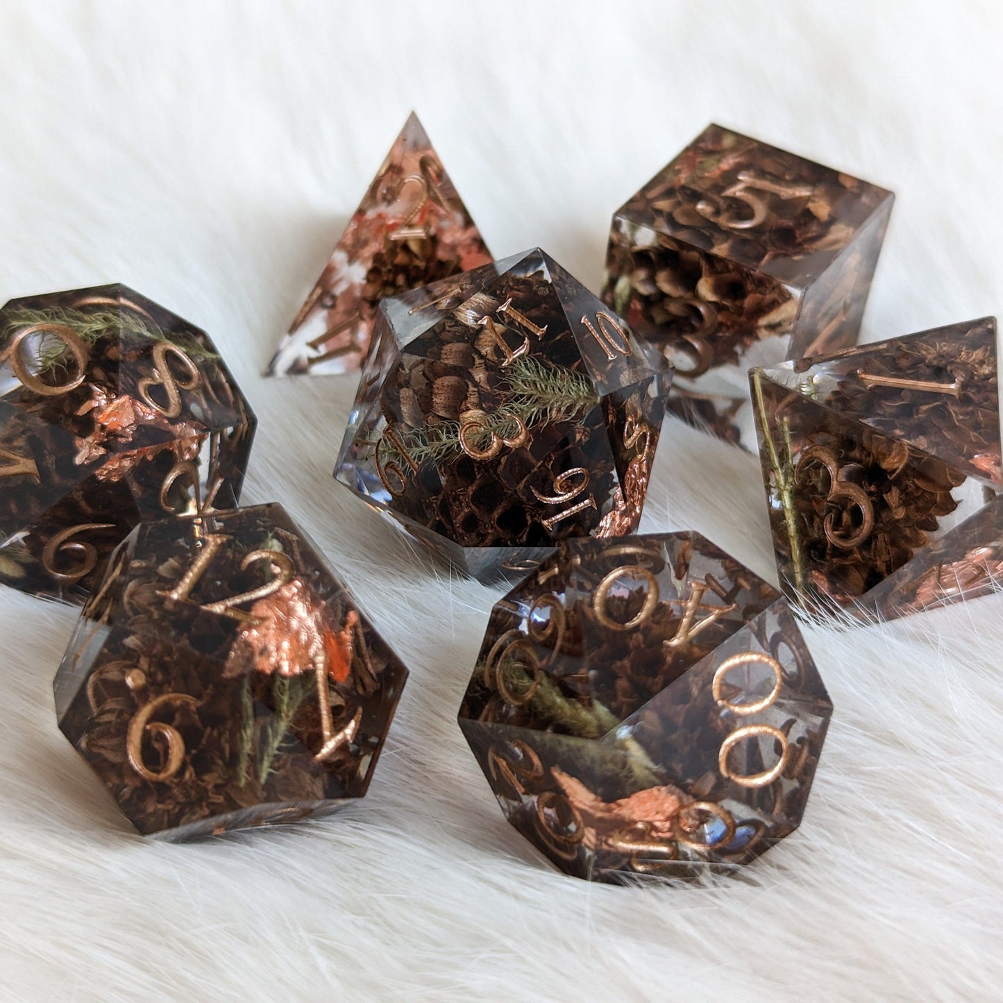 Casuarina - Seeds of Change Dice Set Dice Sets & Games Fennek and Finch