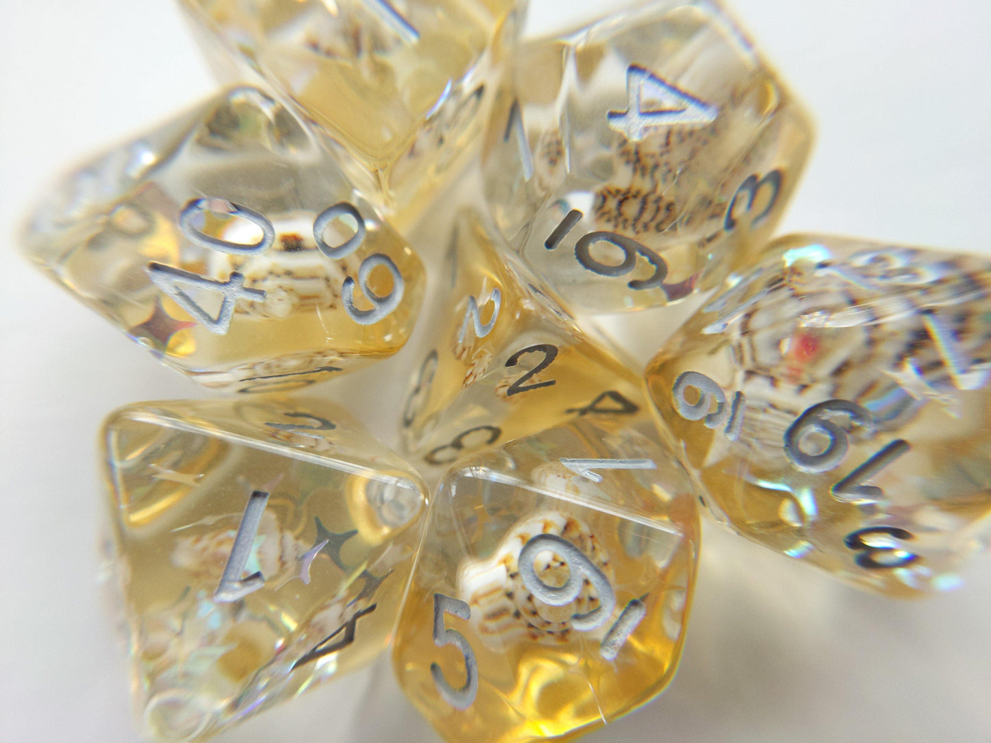 Gold Conch Dice Set with real seashells and star glitter for tabletop RPGs like Dungeons and Dragons, 7 piece polyhedral dice.