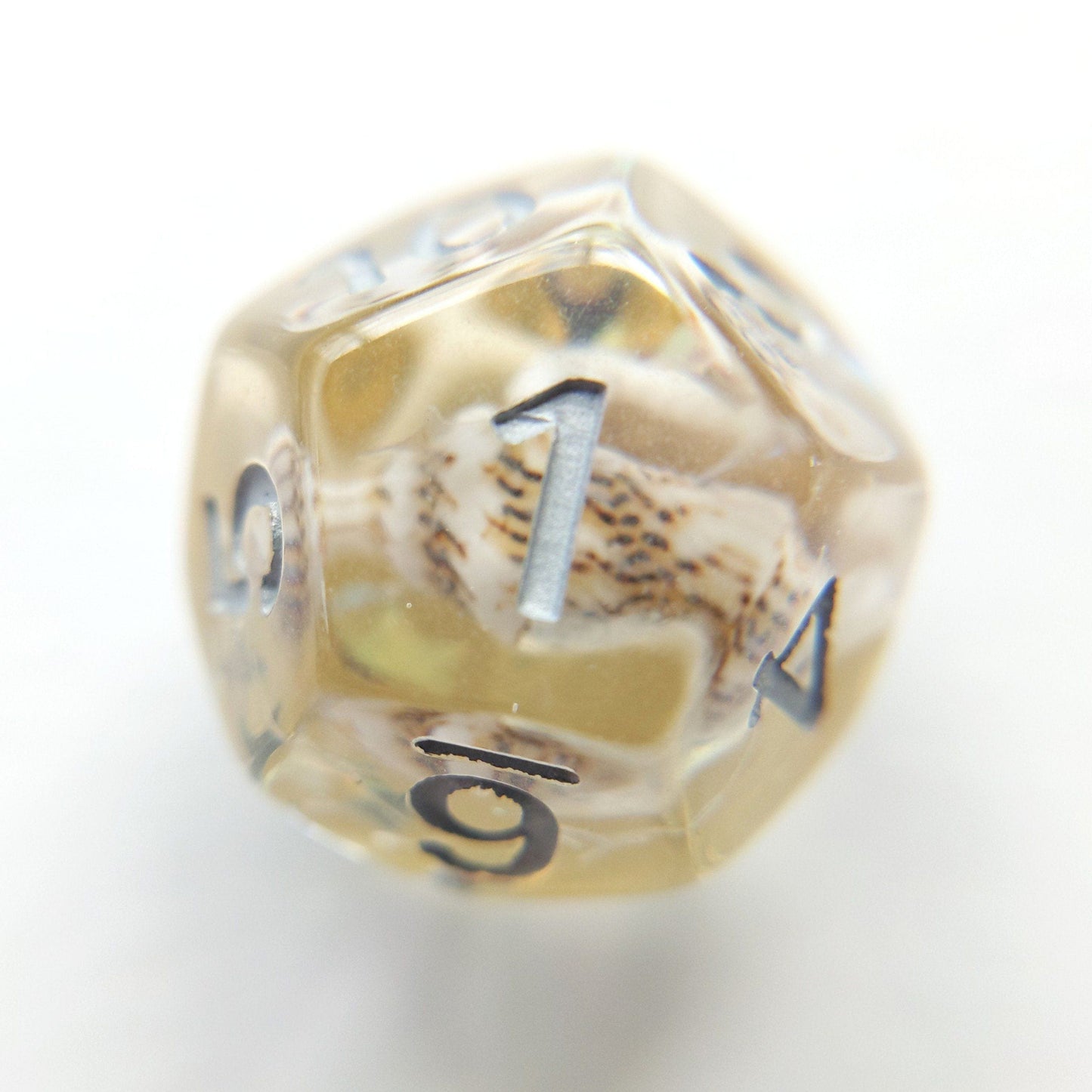 Gold Conch polyhedral die with real seashell inside, perfect for Dungeons and Dragons and beach-themed tabletop games.
