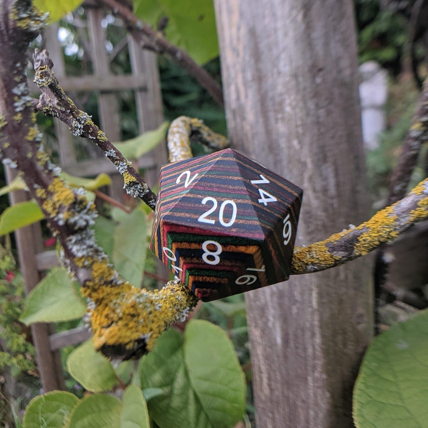 Large Wood D20, Bright Rainbow Wooden Die - CozyGamer