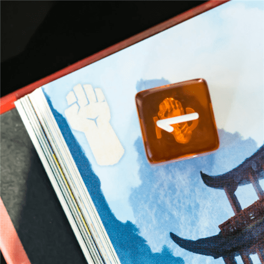 Brown resin dice with monk fist design on tabletop gaming book.
