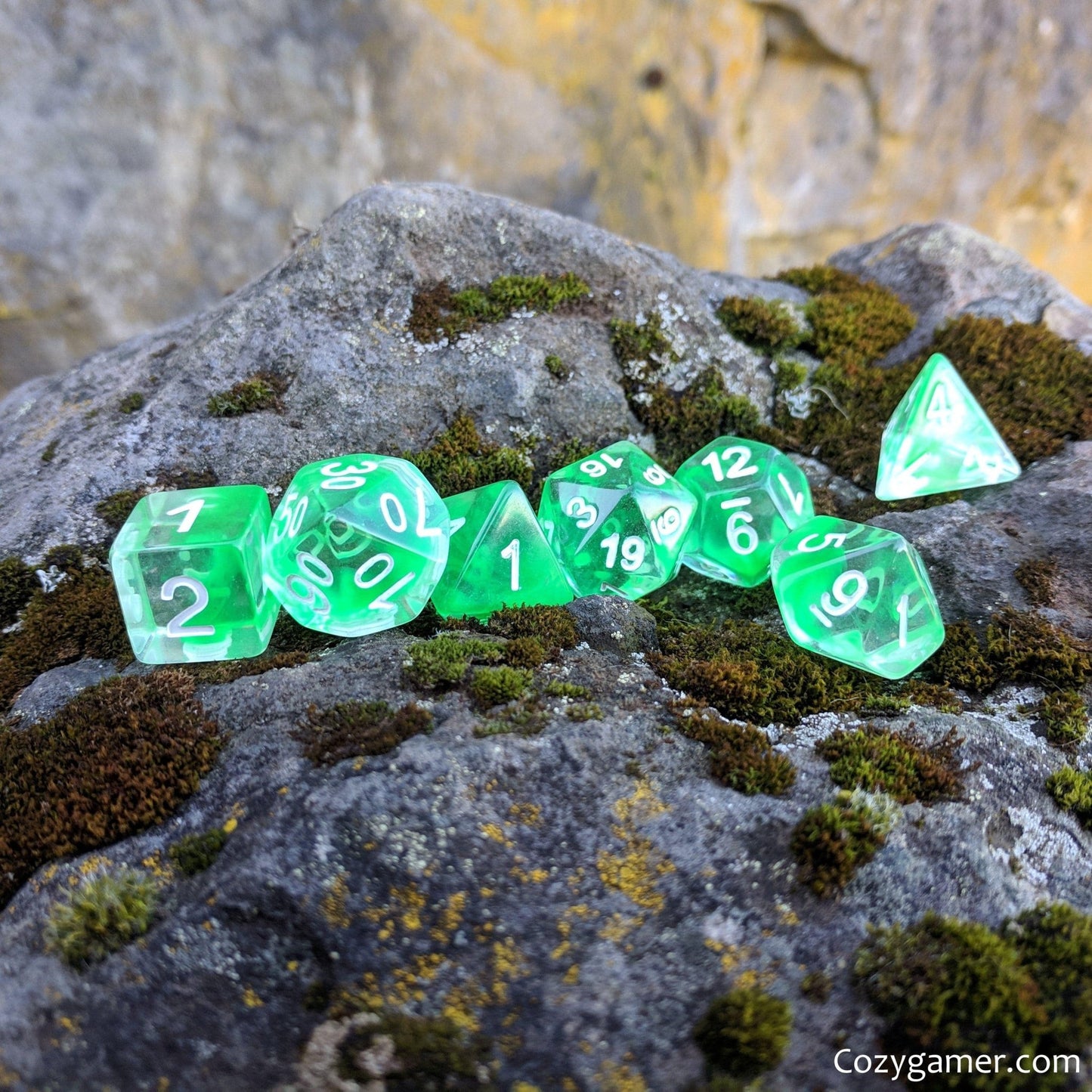 Nature Shift Dice Set – 7-Piece Clear Green Ink Suspended Polyhedral DnD Dice Dice sets Fennek and Finch