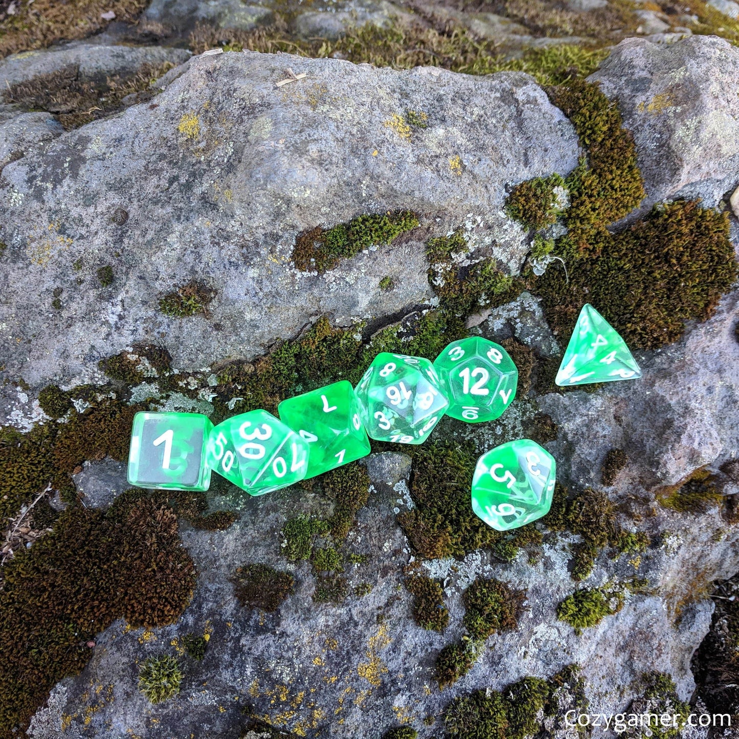 Nature Shift 7 Piece DnD Dice Set Dice sets Fennek and Finch