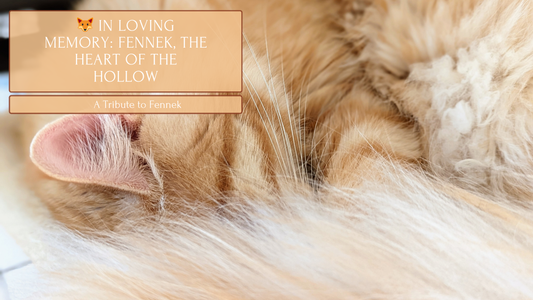 🦊 In Loving Memory: Fennek, the Heart of the Hollow