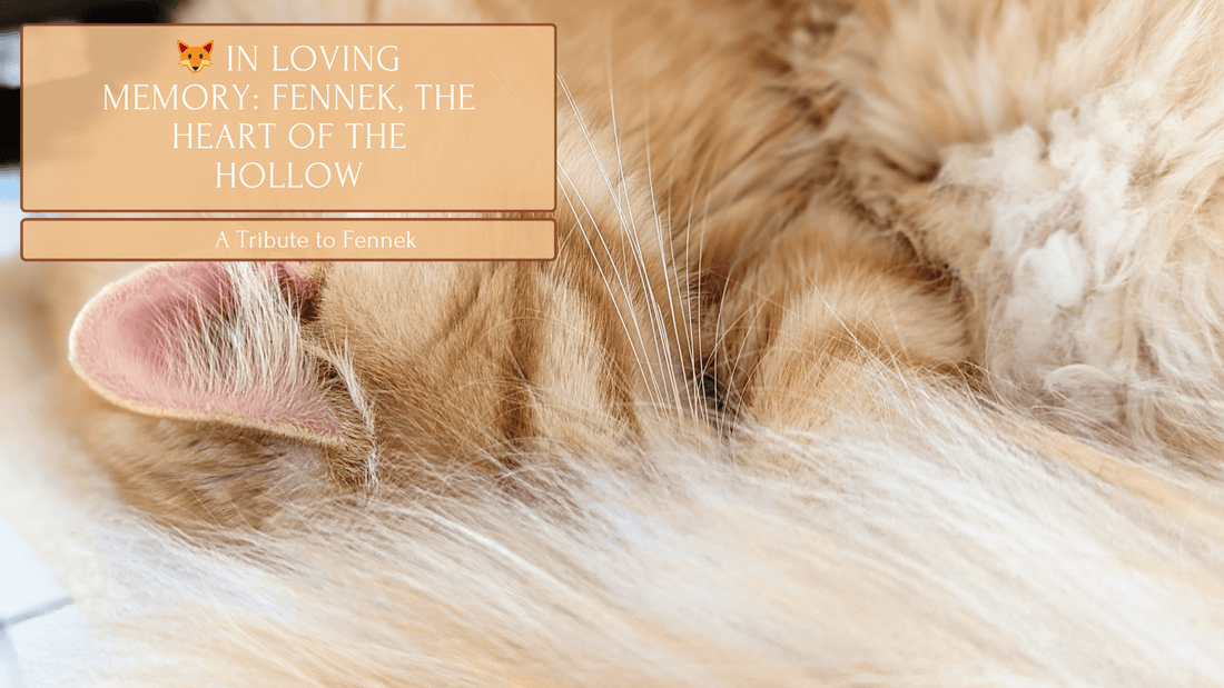 🦊 In Loving Memory: Fennek, the Heart of the Hollow - Fennek and Finch