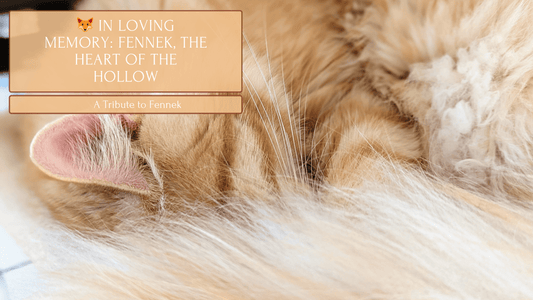 🦊 In Loving Memory: Fennek, the Heart of the Hollow - Fennek and Finch