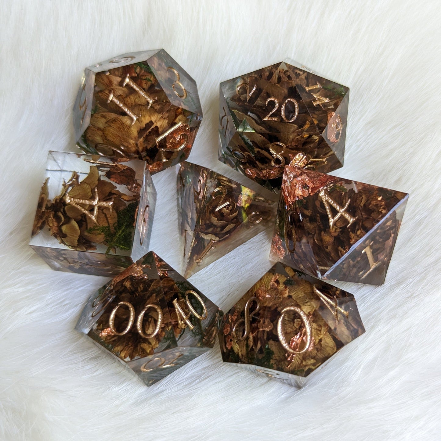 Pine Cones and Moss Dice Set