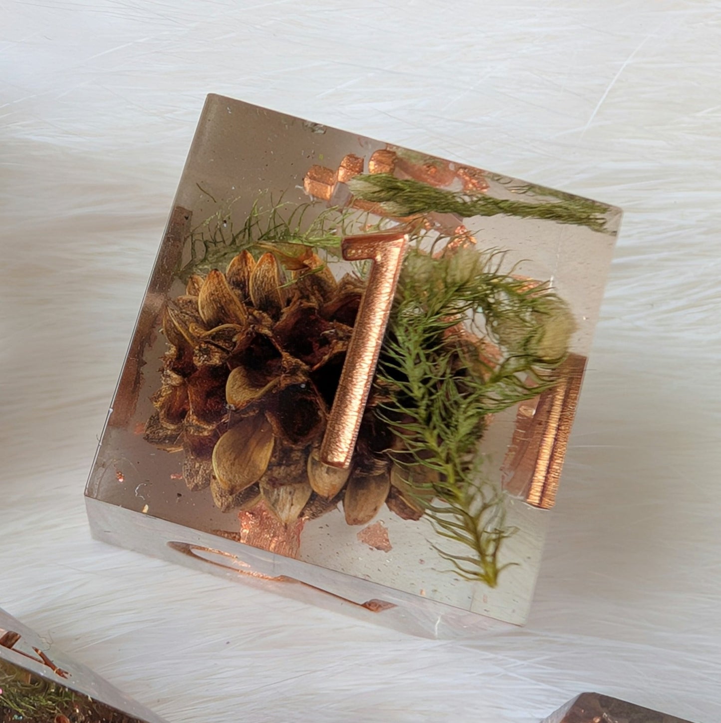 Sparkling Casuarina Seeds of Change Dice Set – Botanical Resin with Copper | Fennek & Finch - Fennek and Finch