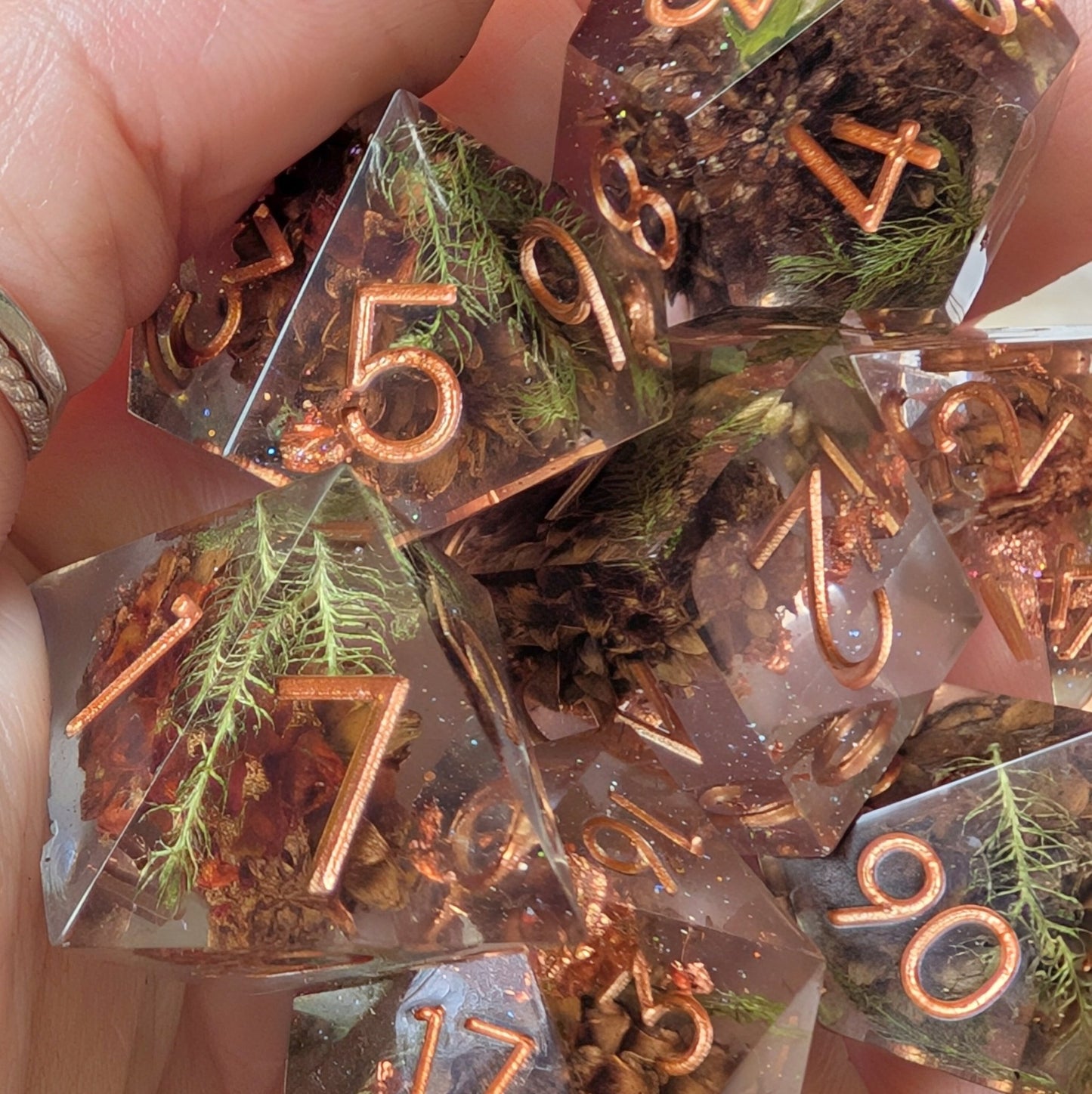 Sparkling Casuarina Seeds of Change Dice Set – Botanical Resin with Copper | Fennek & Finch - Fennek and Finch