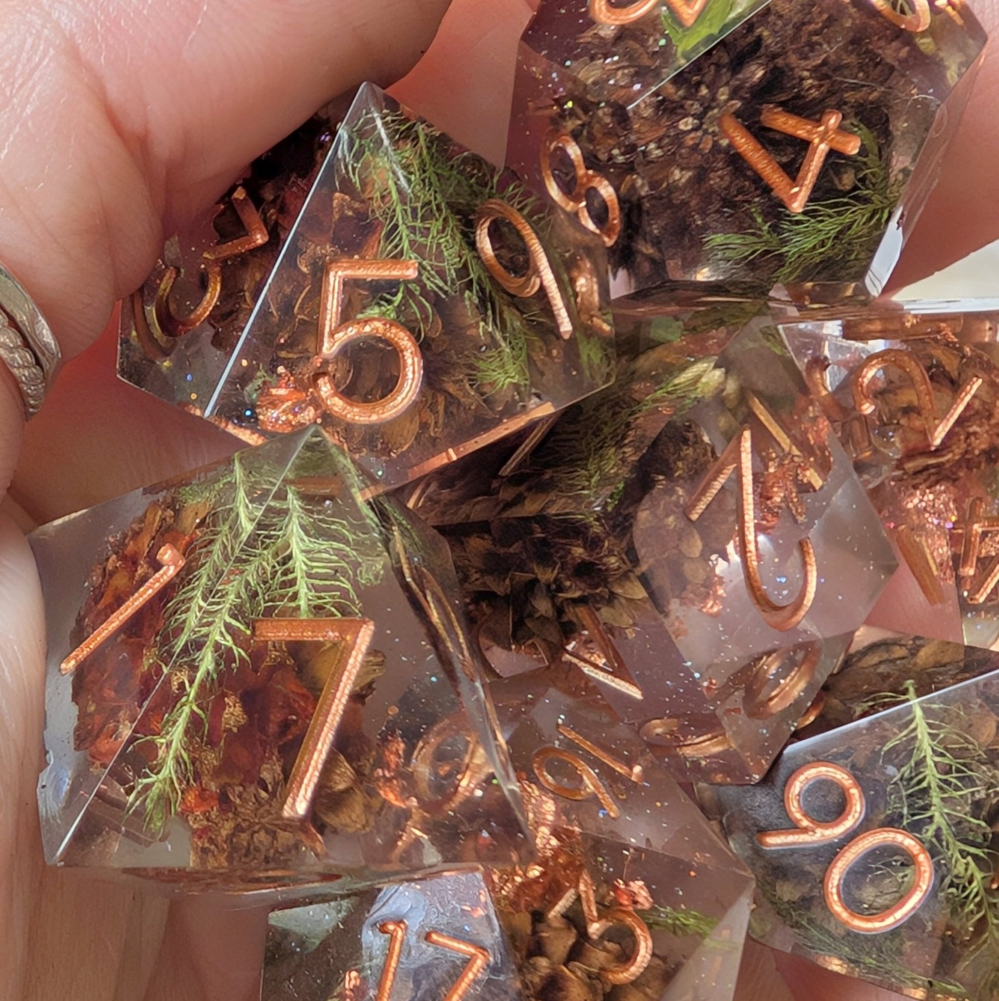 Sparkling Casuarina Seeds of Change Dice Set – Botanical Resin with Copper | Fennek & Finch - Fennek and Finch
