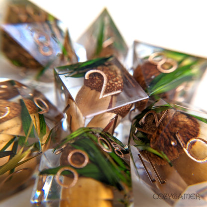 Acorn Sharp Edge Dice Set – 7 - Piece with Real Acorns | Fennek & Finch - Fennek and Finch