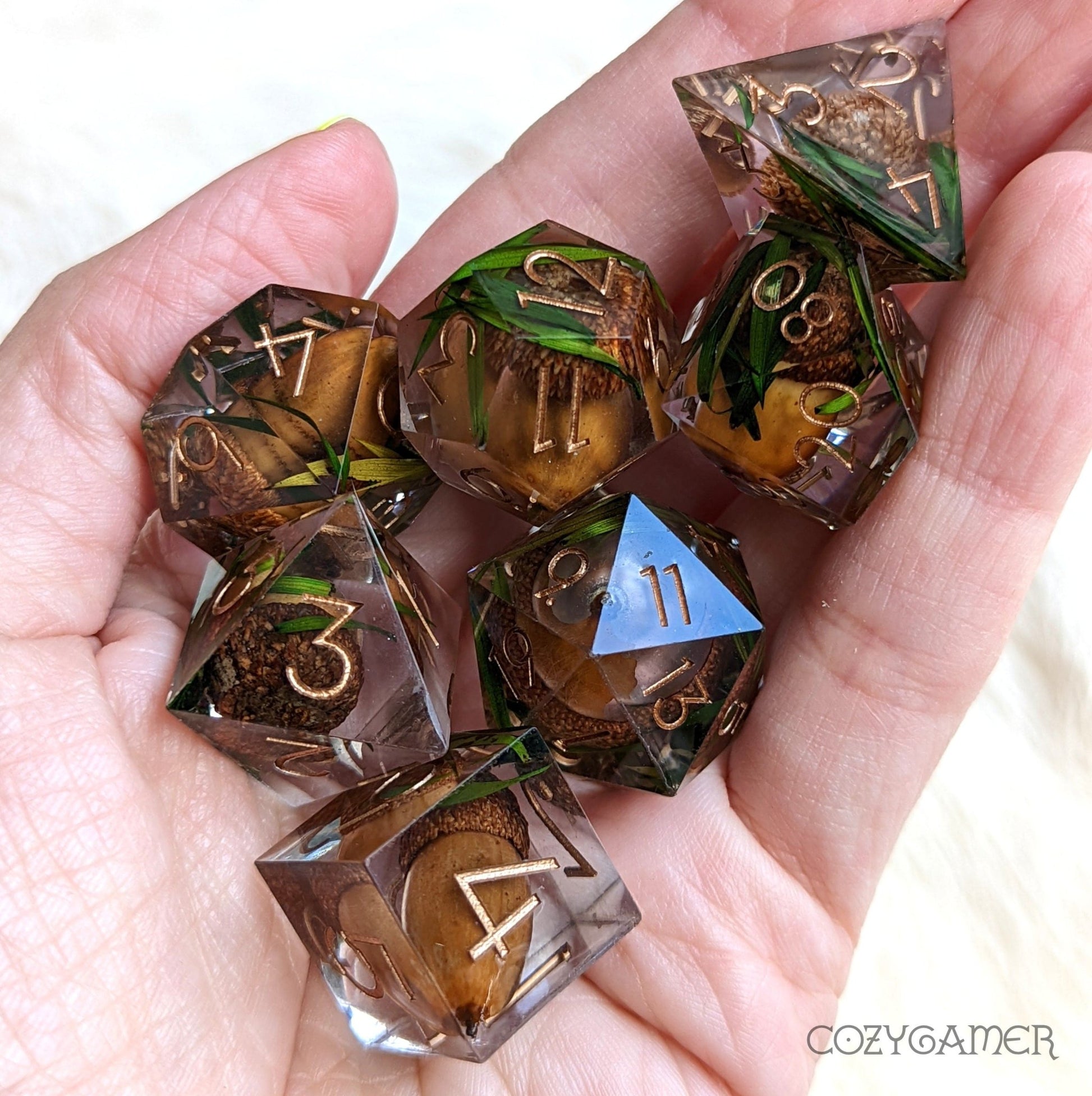 Acorn Sharp Edge Dice Set – 7 - Piece with Real Acorns | Fennek & Finch - Fennek and Finch