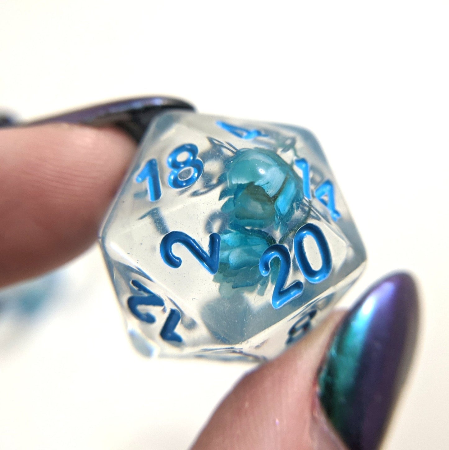 Blue Flower Dice Set – 7 - Piece Real Dried Flowers Botanical DnD Dice - Fennek and Finch