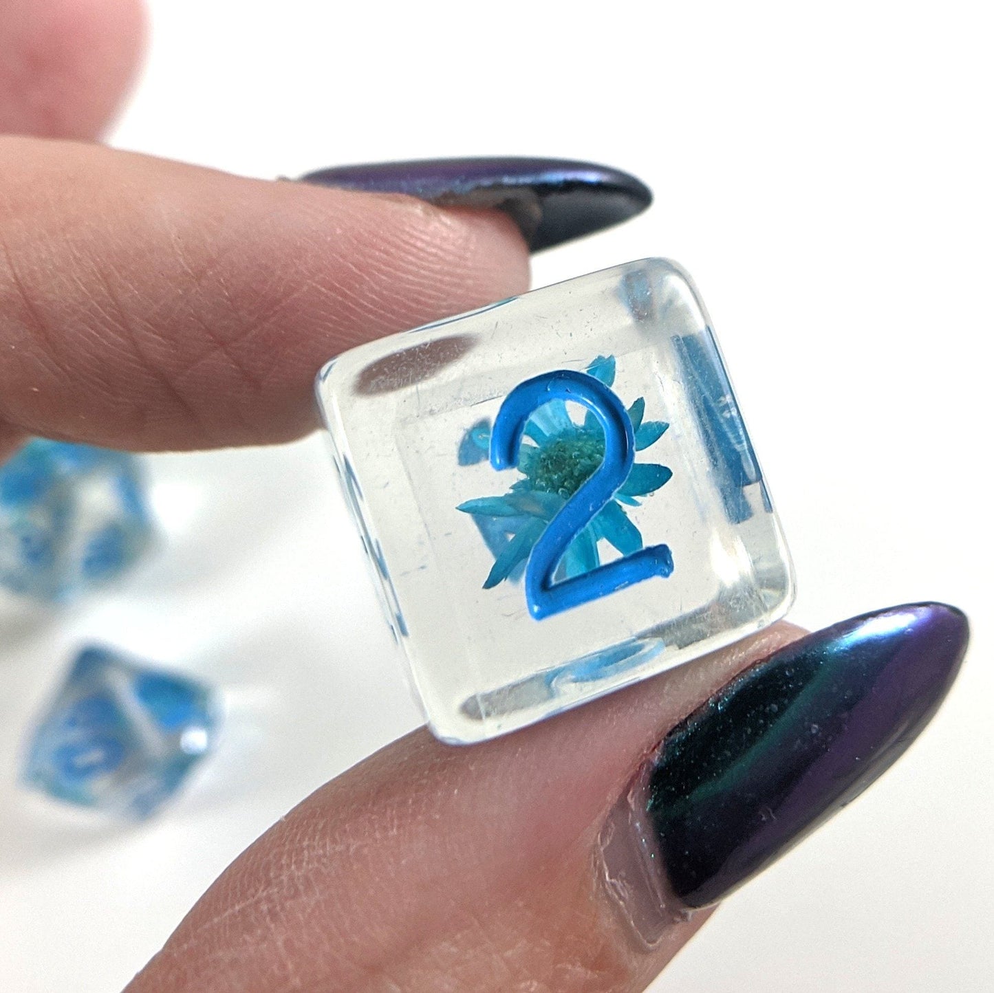 Blue Flower DnD Dice Set, Real Dried Flowers - CozyGamer