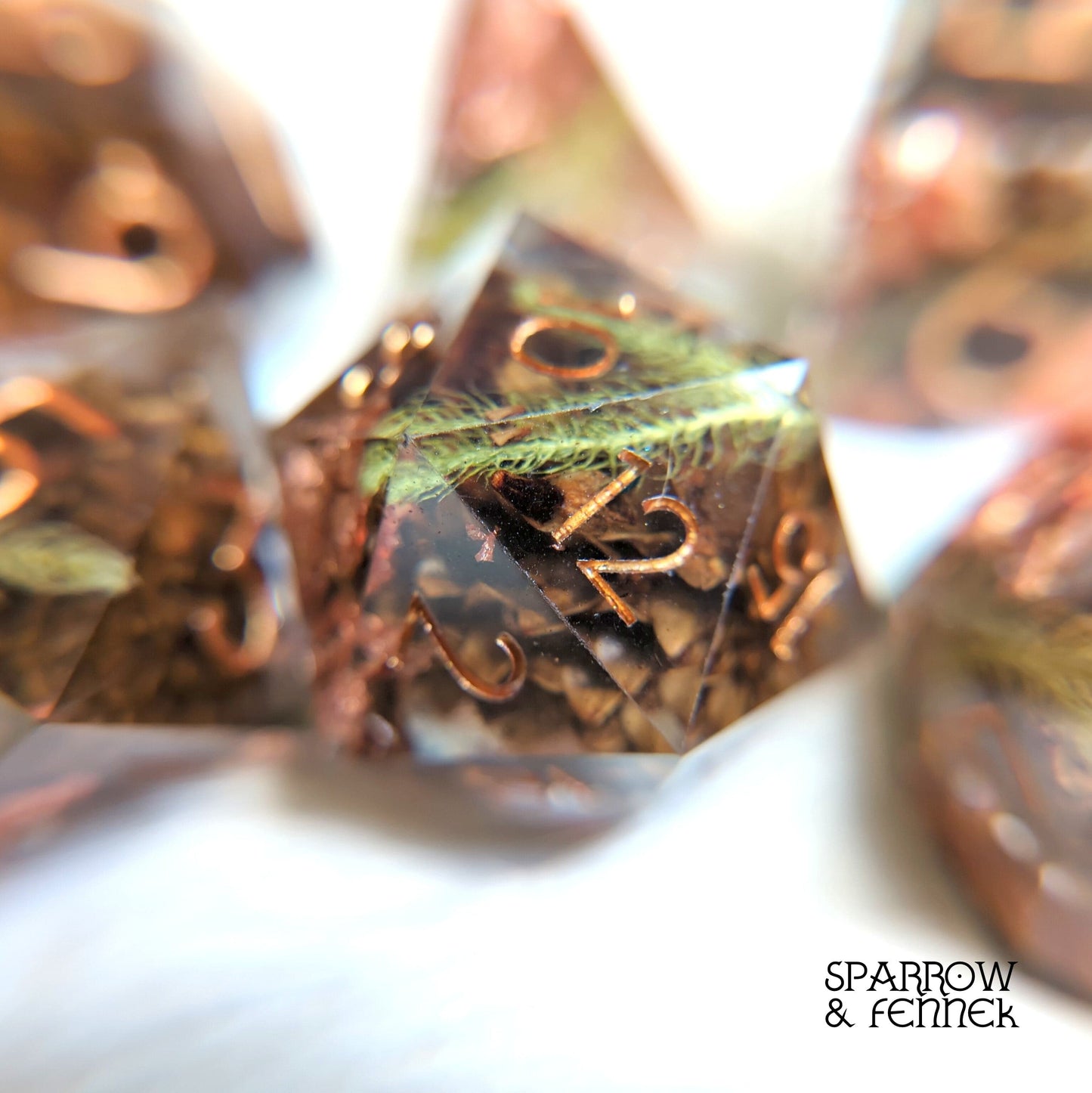 Casuarina - Seeds of Change Sharp Edge Resin Dice Set. 7 Piece DND dice set with real dried fruit inside