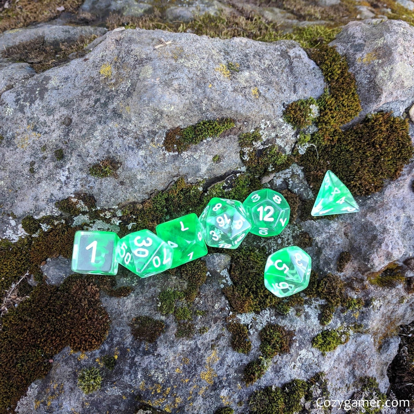 Nature Shift Dice Set – 7-Piece Clear Green Ink Suspended Polyhedral DnD Dice Dice sets Fennek and Finch