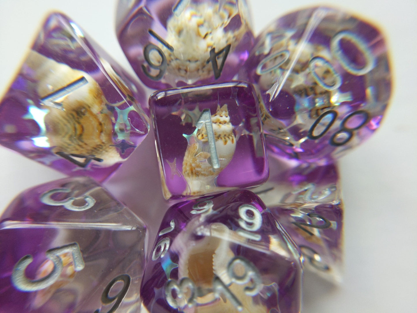 Purple Conch Dice Set – 7 - Piece Real Seashells Diamond Star Glitter DnD Dice - Fennek and Finch