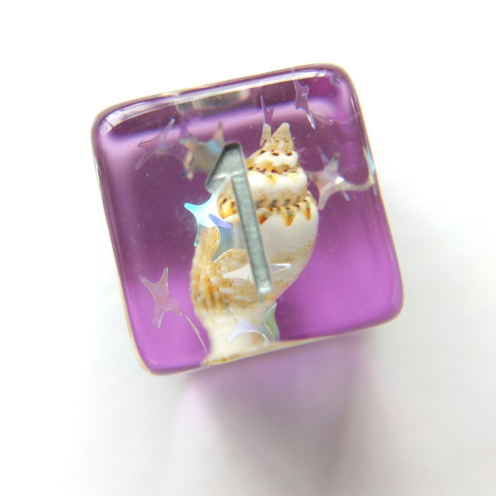Purple Conch Dice Set, Real Seashells from the Ocean - CozyGamer