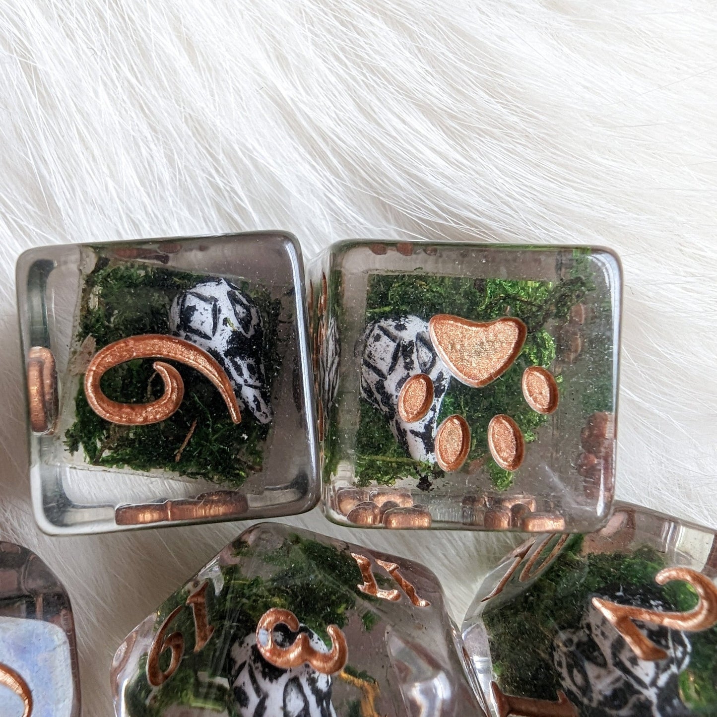 Runed Raven Skull and Moss Dice Set – 8 - Piece Botanical DnD Dice with Paw D6 | Fennek & Finch - Fennek and Finch